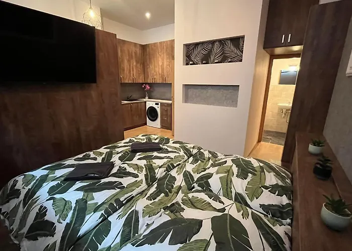 Tajemstvi Lucy Plzen